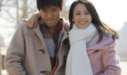 陈思成演过的电视剧,从北京爱情故事到远大前程的蜕变之旅