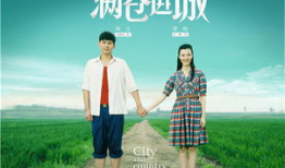 满仓进城电视剧,农村青年奋斗记